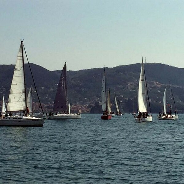 Regate2015 (11)